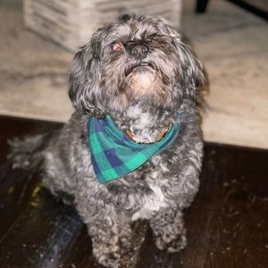 Meet your Posher, Robin